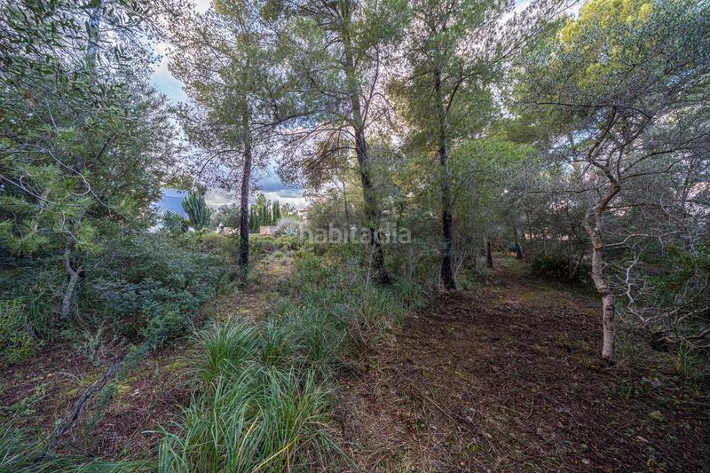 Foto 344a01b7-2d26-4ecd-99d0-23e484a0b74a. Finca rústica a Colònia de Sant Pere Artà