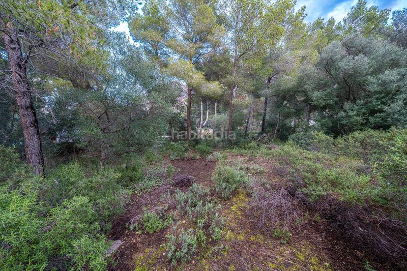 Foto 35ba680e-2033-4997-aa9e-060de67cd13b. Finca rústica a Colònia de Sant Pere Artà