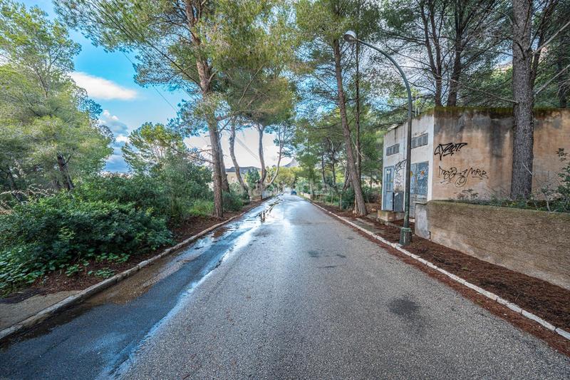 Foto 56b2913b-6cd3-4624-8a18-48a279a82970. Finca rústica a Colònia de Sant Pere Artà