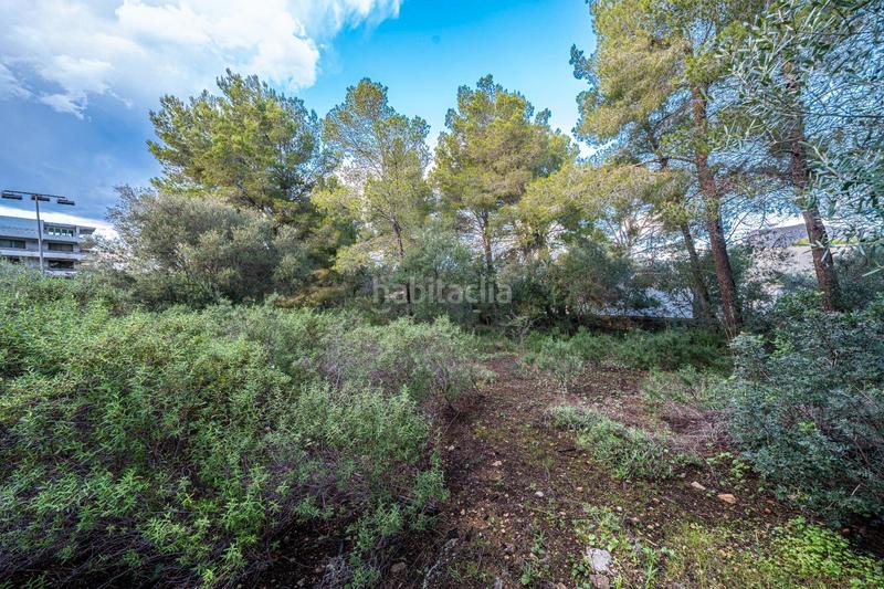 Foto 77588ca0-31f2-434a-8210-7282fb6ffb2f. Finca rústica a Colònia de Sant Pere Artà