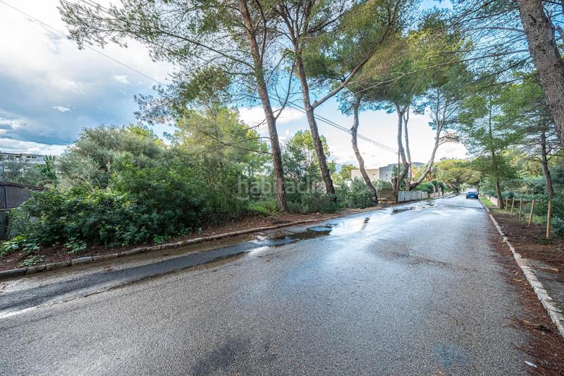 Foto 7b65c3ce-f2fe-4176-8858-6a89b79e883f. Finca rústica a Colònia de Sant Pere Artà