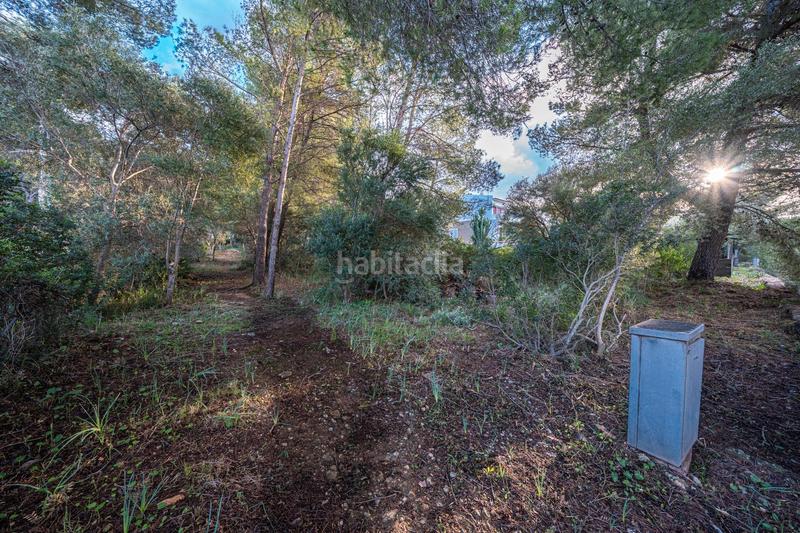 Foto 962ff982-5622-453b-816b-d35d68e97300. Finca rústica a Colònia de Sant Pere Artà