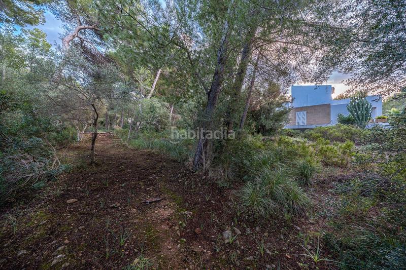 Foto 9fcdbd03-2e67-43de-a3ad-d2f76021e507. Finca rústica a Colònia de Sant Pere Artà