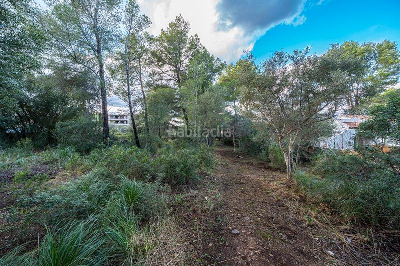 Foto a032c325-7552-447f-987c-f4ff68c837f6. Finca rústica a Colònia de Sant Pere Artà