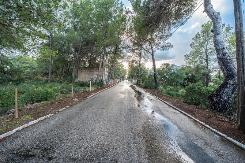 Foto a65b3635-190e-4302-aa62-af5836fc4f1a. Finca rústica a Colònia de Sant Pere Artà