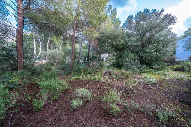 Foto acd32eba-8003-41ad-98f8-70b5ba47c7c8. Finca rústica a Colònia de Sant Pere Artà