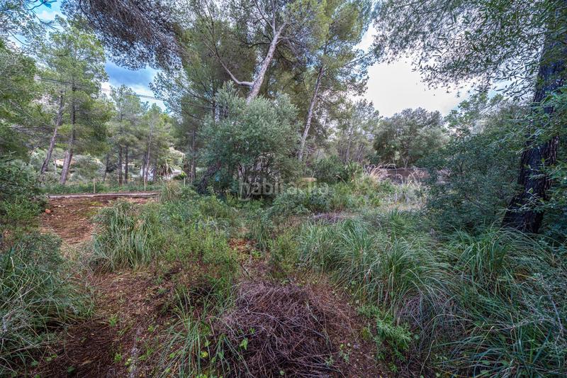 Foto b3af7929-8045-4fa5-bf7e-b826d73e753b. Finca rústica a Colònia de Sant Pere Artà