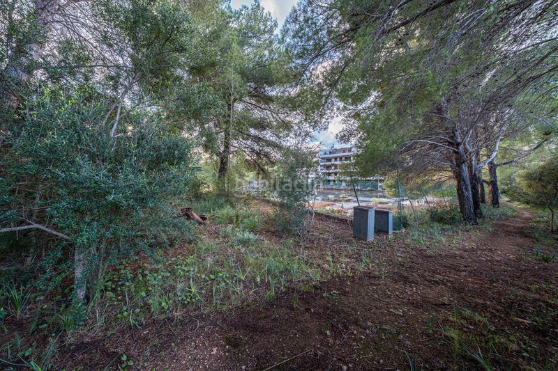 Foto beee8fe9-e058-4e03-92fd-80a245018135. Finca rústica a Colònia de Sant Pere Artà