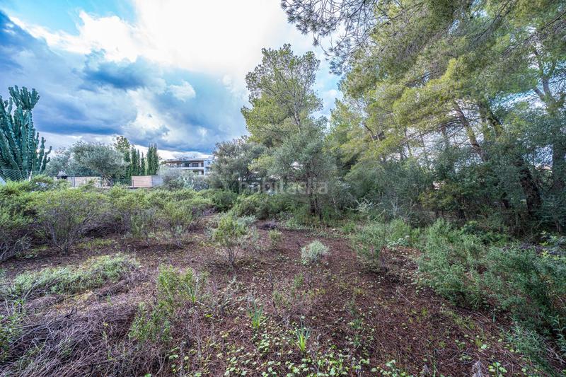 Foto c27be7a0-3482-4ca9-aebc-583fa4a393c9. Finca rústica a Colònia de Sant Pere Artà