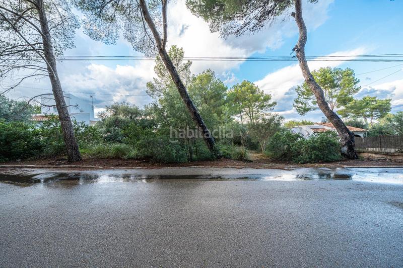 Foto c9643caa-ba15-464d-a653-3b94a1f6a75b. Finca rústica a Colònia de Sant Pere Artà