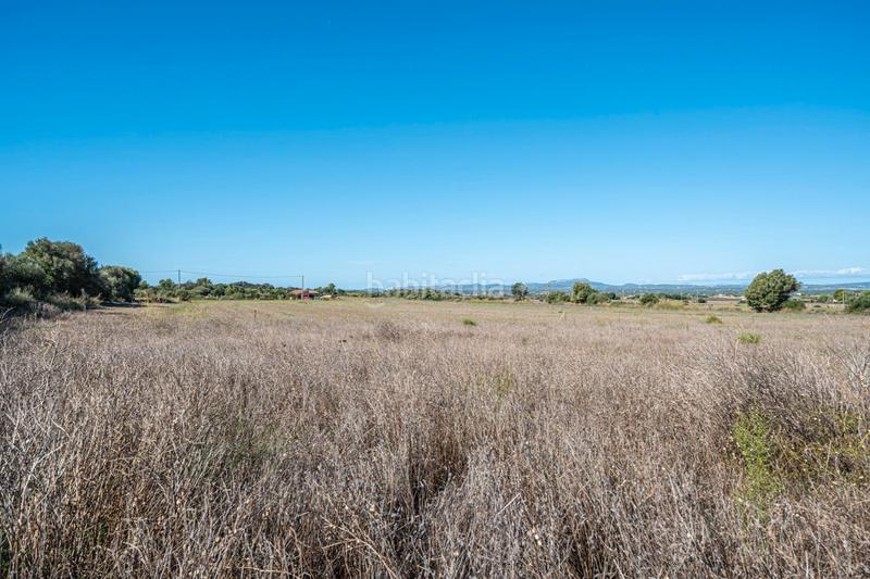 Foto 0ce7925e-7ea1-4f31-b075-c3c82164ba57. Finca rústica a Manacor centre Manacor