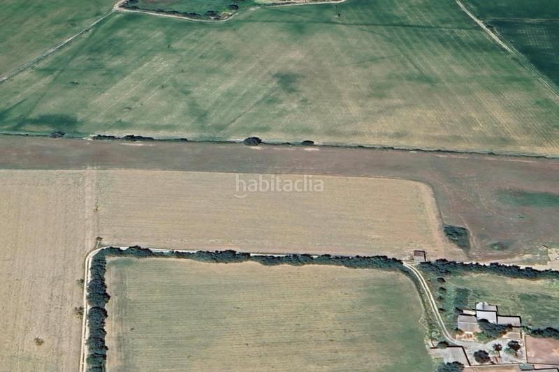 Foto 6c5cbe04-f6a9-4622-968c-61bd56a5bfe2. Finca rústica a Manacor centre Manacor