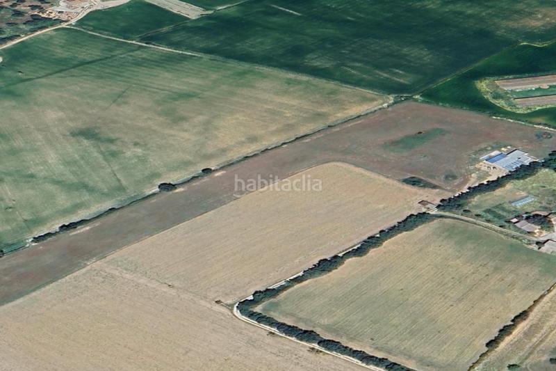 Foto 768ab904-d492-4018-9b51-5c000c253e08. Finca rústica a Manacor centre Manacor