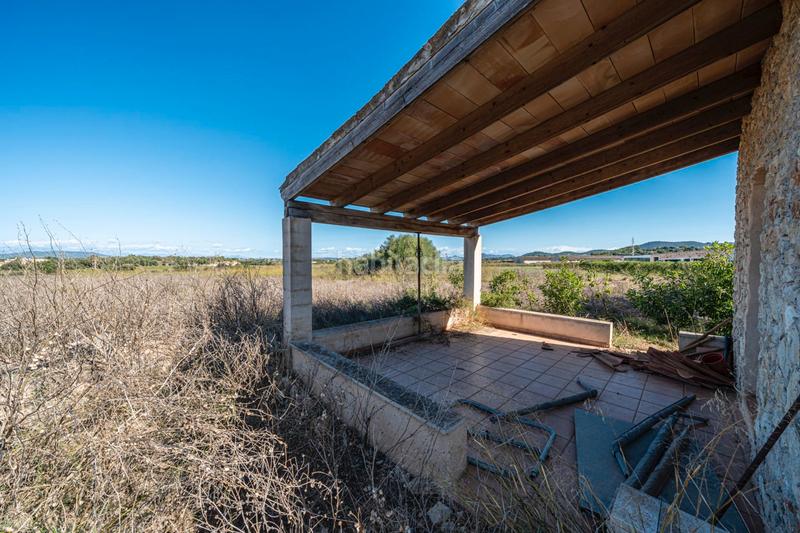 Foto 911da324-2158-457d-a729-78e0a25a3797. Finca rústica a Manacor centre Manacor