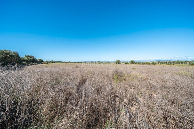 Foto 97ee1f0f-69e8-4c81-b4da-6b8ee269262d. Finca rústica a Manacor centre Manacor