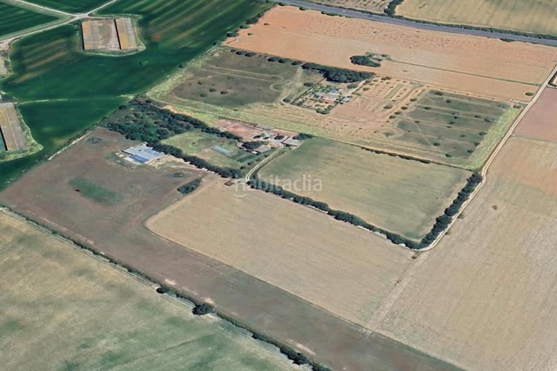 Foto d4536f47-24b7-4310-8189-59ef46d01799. Finca rústica a Manacor centre Manacor