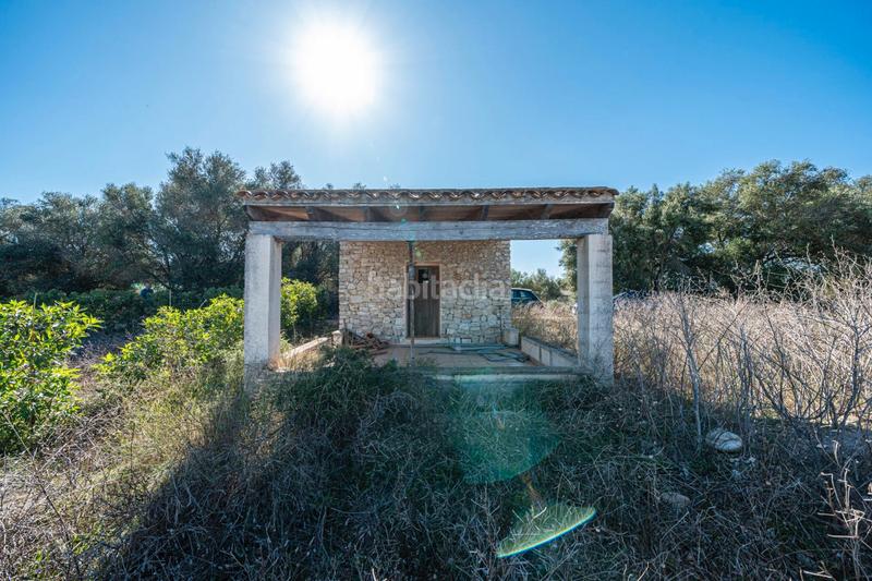 Foto f3c1c6a9-aaaf-4655-992f-12112ac7df40. Finca rústica a Manacor centre Manacor