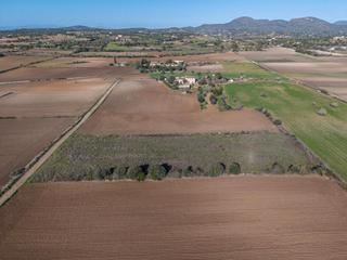 Propriété à Sant Llorenç des Cardassar. Terreno rustico