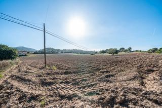Landgut in Manacor Centre. Terreno rústico en son amengual
