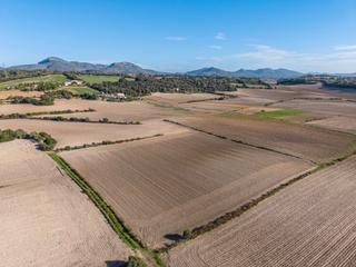 Landgut in Manacor Centre. Parcela rústica en manacor - son seard