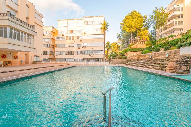 Foto d4aa9f1f-b1f6-4016-94f1-af3c0fefd965. Estudio  con piscina y parking en santa ponça en Calvià