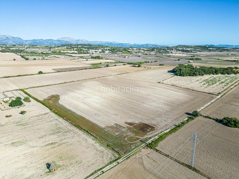Foto 0d3d3cf3-577d-4681-9577-01ea8bfbdd05. Bauernhof in Maria de la Salut