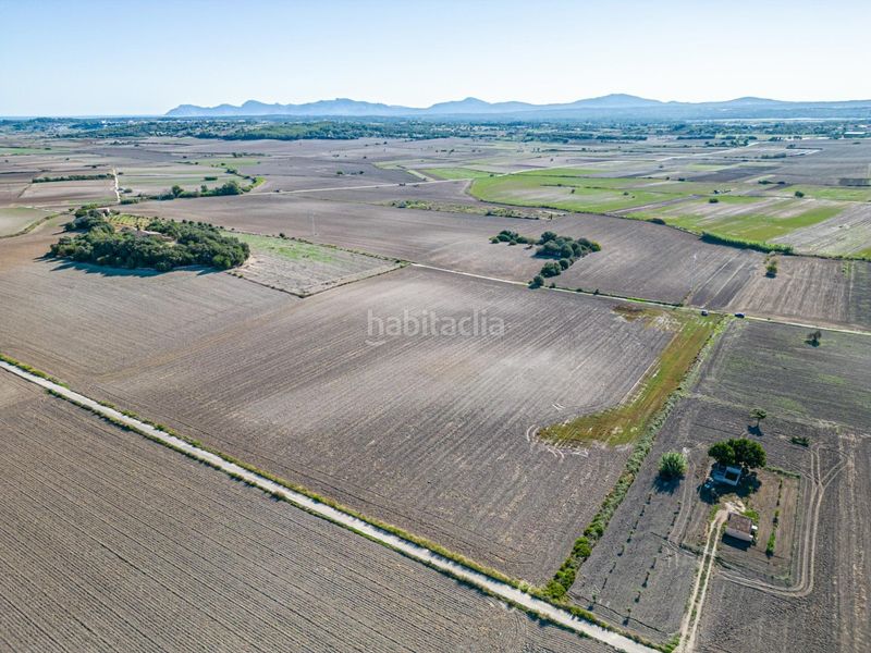 Foto 0fb7e66f-a0e0-48d3-9a78-1edca8860a5a. Bauernhof in Maria de la Salut