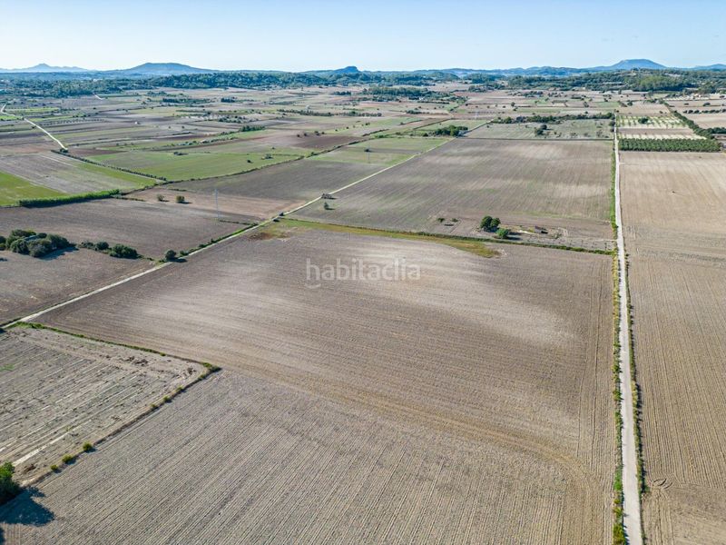 Foto 14567c94-b038-4795-b950-e4e714ea83c9. Bauernhof in Maria de la Salut