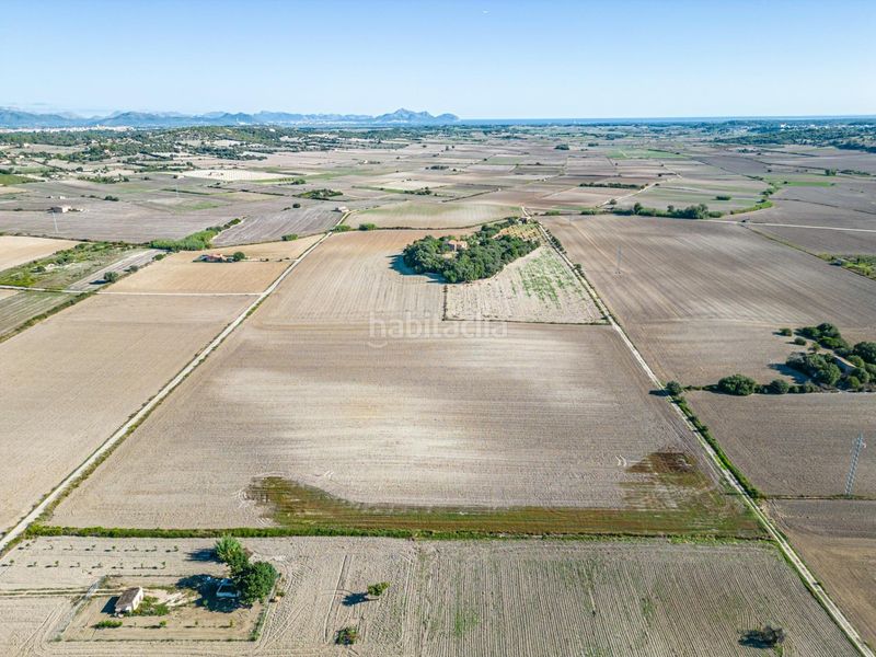 Foto 1dc5c6f4-e609-4415-a028-682795a35539. Bauernhof in Maria de la Salut