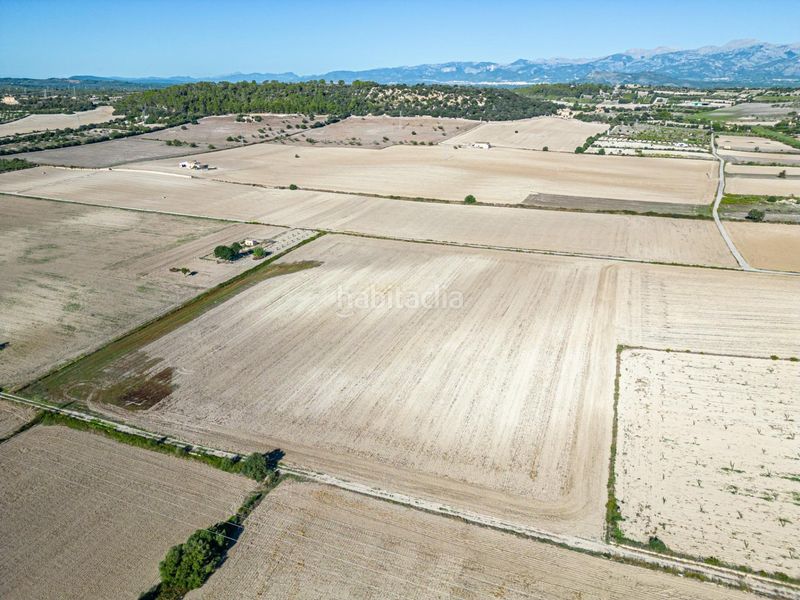 Foto 5a64ac56-1fe4-4ebc-8f3f-d91b94fa8c82. Bauernhof in Maria de la Salut