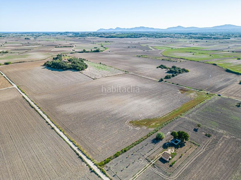 Foto 7342b9c7-b146-4db0-bb8d-6b760f94ce73. Bauernhof in Maria de la Salut