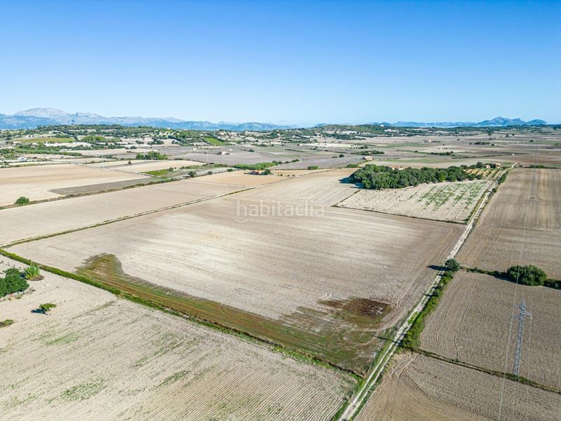 Foto a2461c73-c7be-42e9-9e00-8524463c568e. Bauernhof in Maria de la Salut