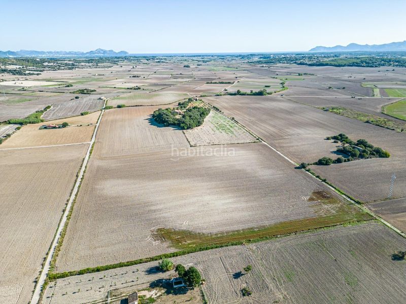 Foto ae1c998d-cf6d-465c-a9a9-2b4e491446bc. Bauernhof in Maria de la Salut