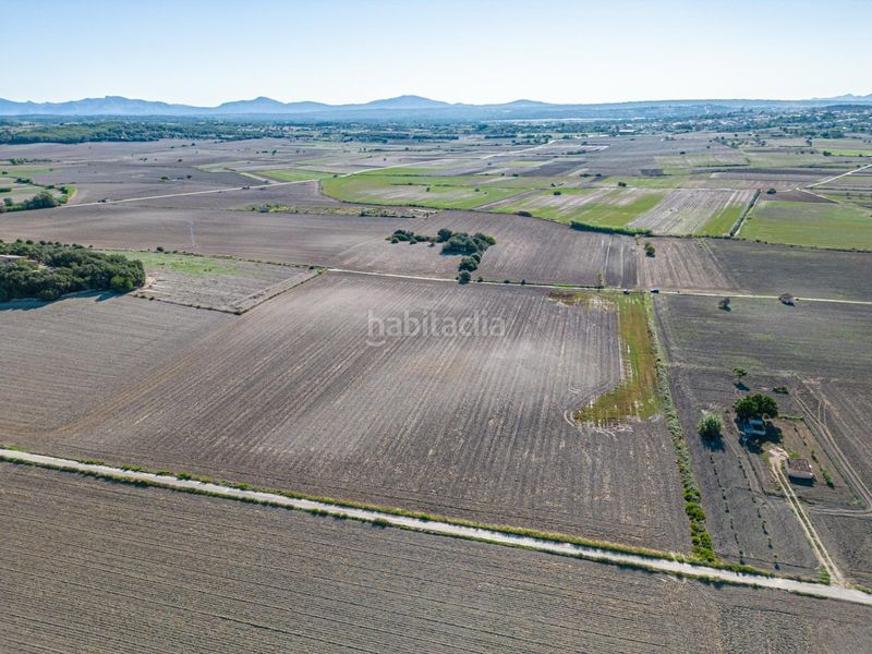 Foto bc721180-f4c3-4d77-b931-610d0b3d43ad. Bauernhof in Maria de la Salut