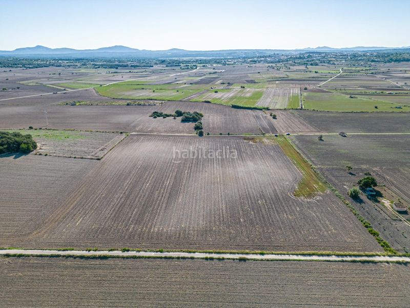 Foto d21857ca-218c-4d4a-9206-3632f1ddad79. Bauernhof in Maria de la Salut