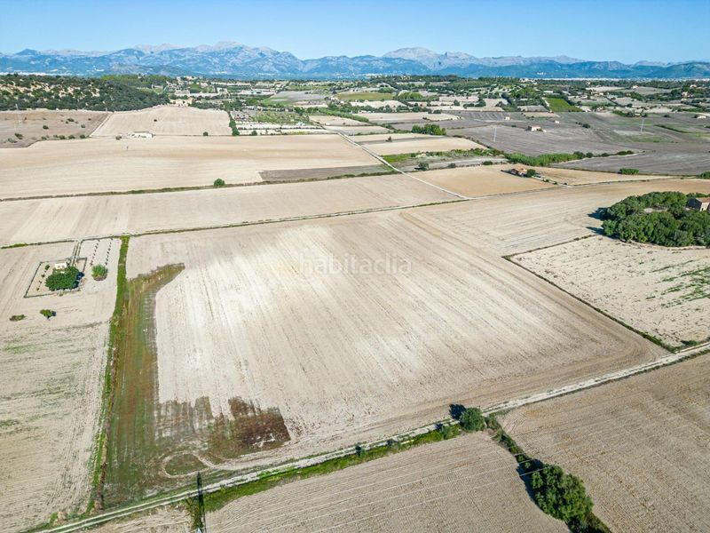Foto f9aad309-b1d1-42a3-9472-a4f99d54187d. Bauernhof in Maria de la Salut
