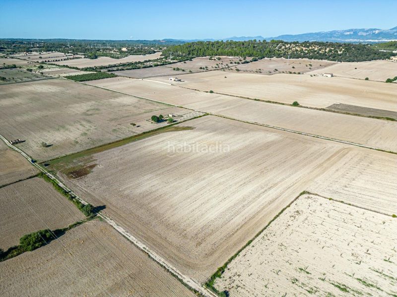 Foto ff054682-19d2-44c5-bac5-49f0e05eb5fa. Bauernhof in Maria de la Salut