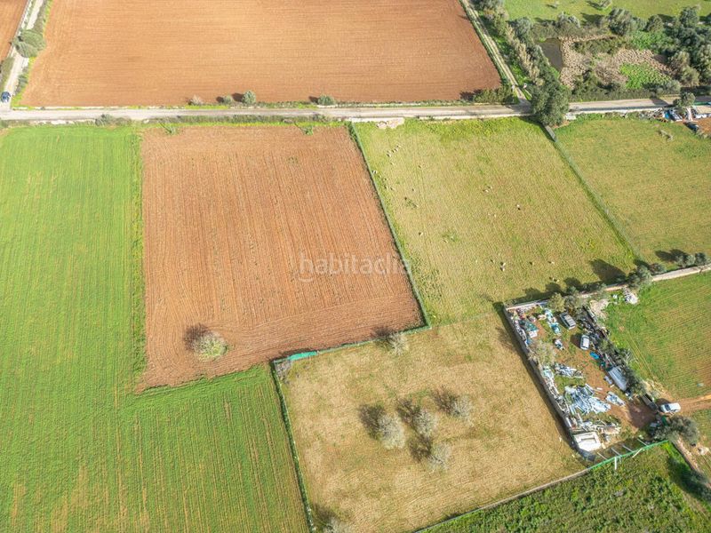Foto 0e68c8d1-4995-4b01-9bd3-c5624df011a6. Finca rústica a Felanitx poble Felanitx
