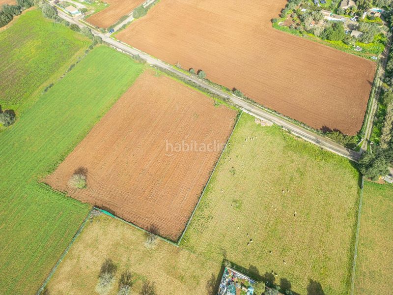 Foto 418073b4-ab0d-4b02-a27e-cebbde4b288c. Finca rústica a Felanitx poble Felanitx