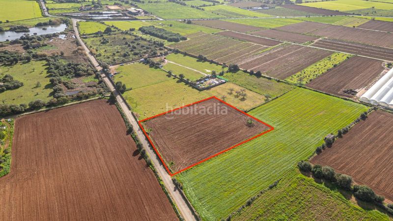 Foto 73c72553-7614-40a4-abbb-20df646d4fbb. Finca rústica a Felanitx poble Felanitx