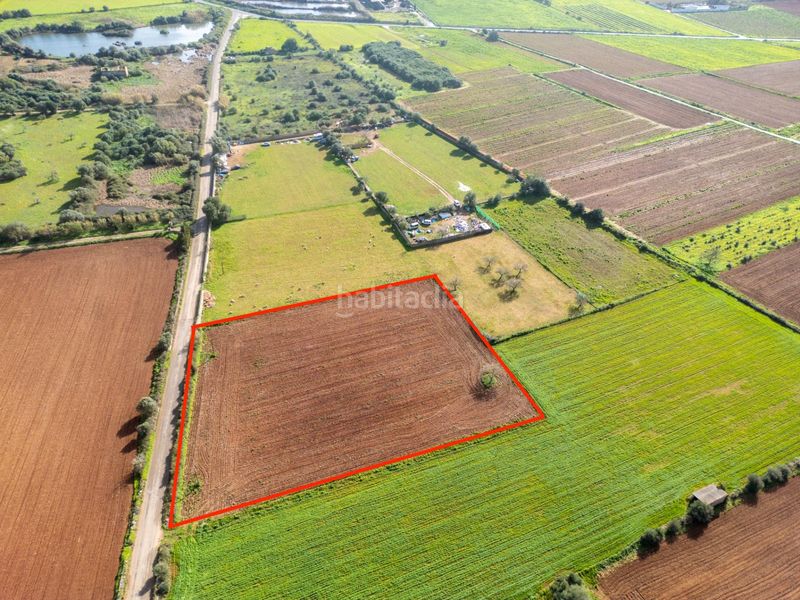 Foto 82318137-4cf8-429d-99f6-ba9c35e8e636. Finca rústica a Felanitx poble Felanitx