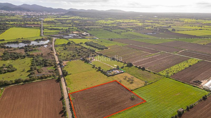 Foto be464827-ba97-491b-b188-77a192fb4a20. Finca rústica a Felanitx poble Felanitx