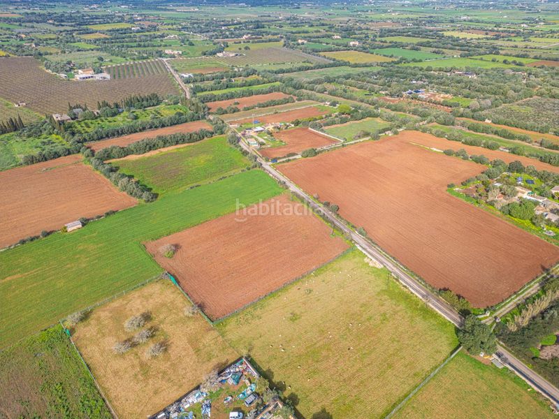 Foto e5c8cfe7-7def-4ba6-8c9a-ad612747670a. Finca rústica a Felanitx poble Felanitx