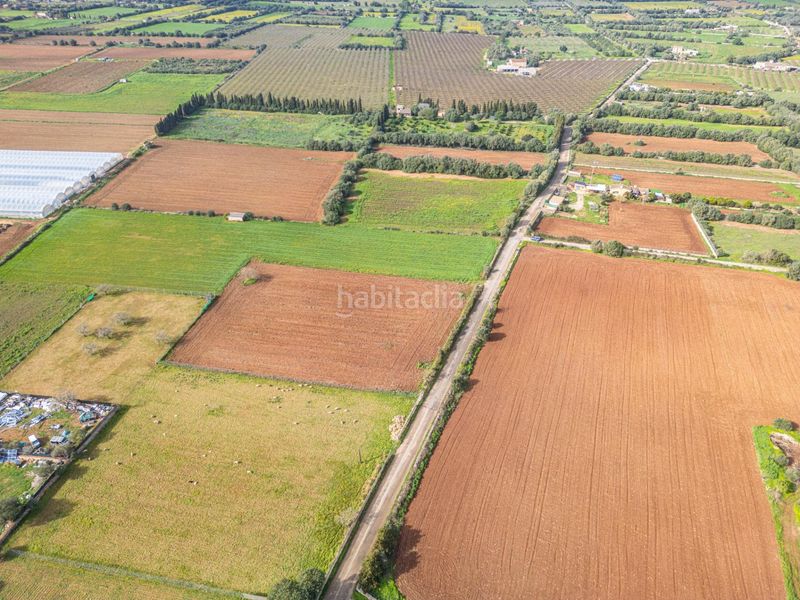 Foto eec885b1-5125-452d-a864-bc4920f6c4c8. Finca rústica a Felanitx poble Felanitx