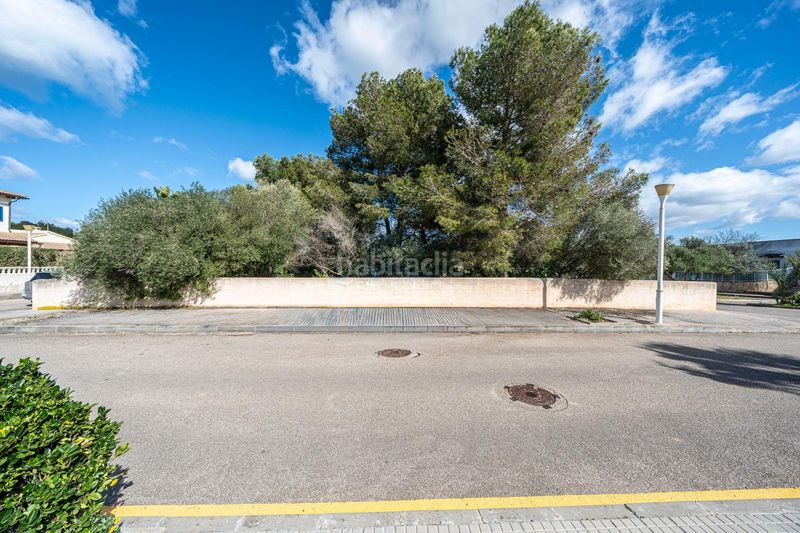 Foto 5f379ccc-47a3-4232-b768-097613eb1cd9. Finca rústica a Son Serra de Marina Santa Margalida