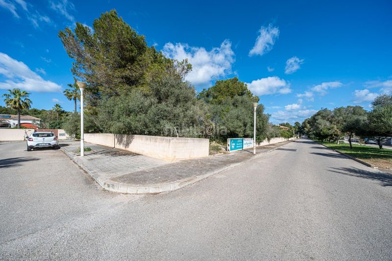 Foto a9b4a716-ecf7-44a0-a554-c1c06664e06d. Finca rústica a Son Serra de Marina Santa Margalida