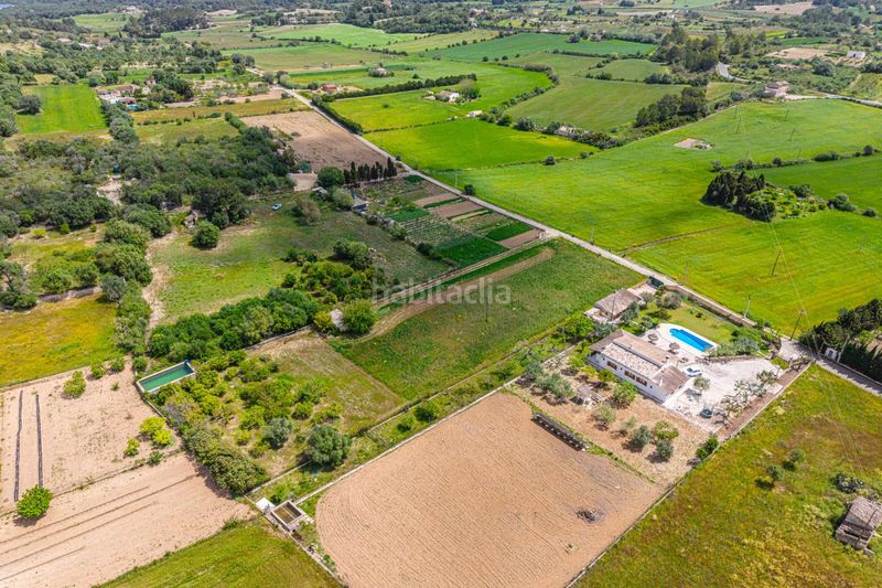 Foto 16e8076b-1191-4ce8-9b68-6e205470c334. Finca rústica a Santa Margalida poble Santa Margalida