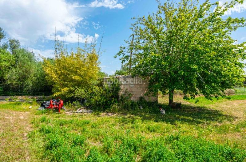 Foto 1843a1c0-4d48-4e57-aa91-b892bee1020a. Finca rústica a Santa Margalida poble Santa Margalida