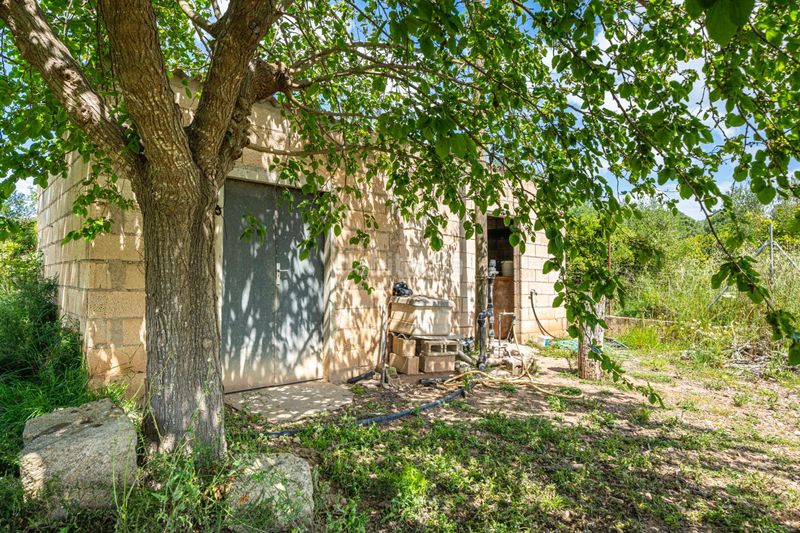 Foto 1c43d933-6f82-4161-b054-544af3474fc1. Finca rústica a Santa Margalida poble Santa Margalida