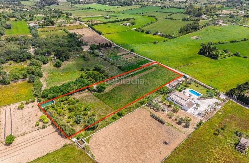 Foto faca6a10-32f8-4352-b3f6-c266017204b4. Finca rústica a Santa Margalida poble Santa Margalida